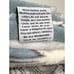 William Morris & Co Hand Towels Blue Ivory Bachelor Button 2 Pc Set Velour NWT