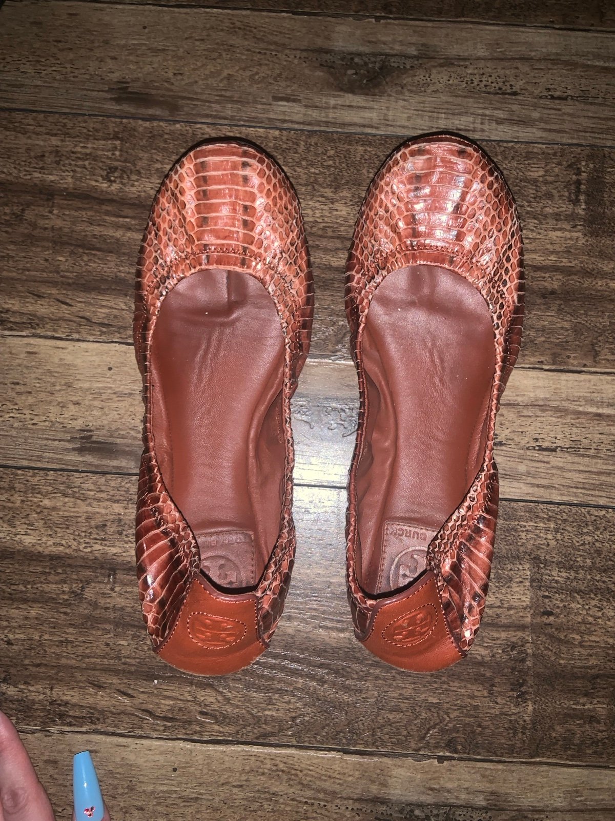Snakeskin Eddie flat Tory Burch in adobe
