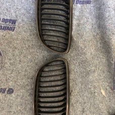 BMW Kidney Grill inserts 335i