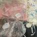 Dollcake Bundle