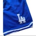 VINTAGE JUSTDON MITCHELL AND NESS LOS ANGELES DODGERS SHORT SIZE S