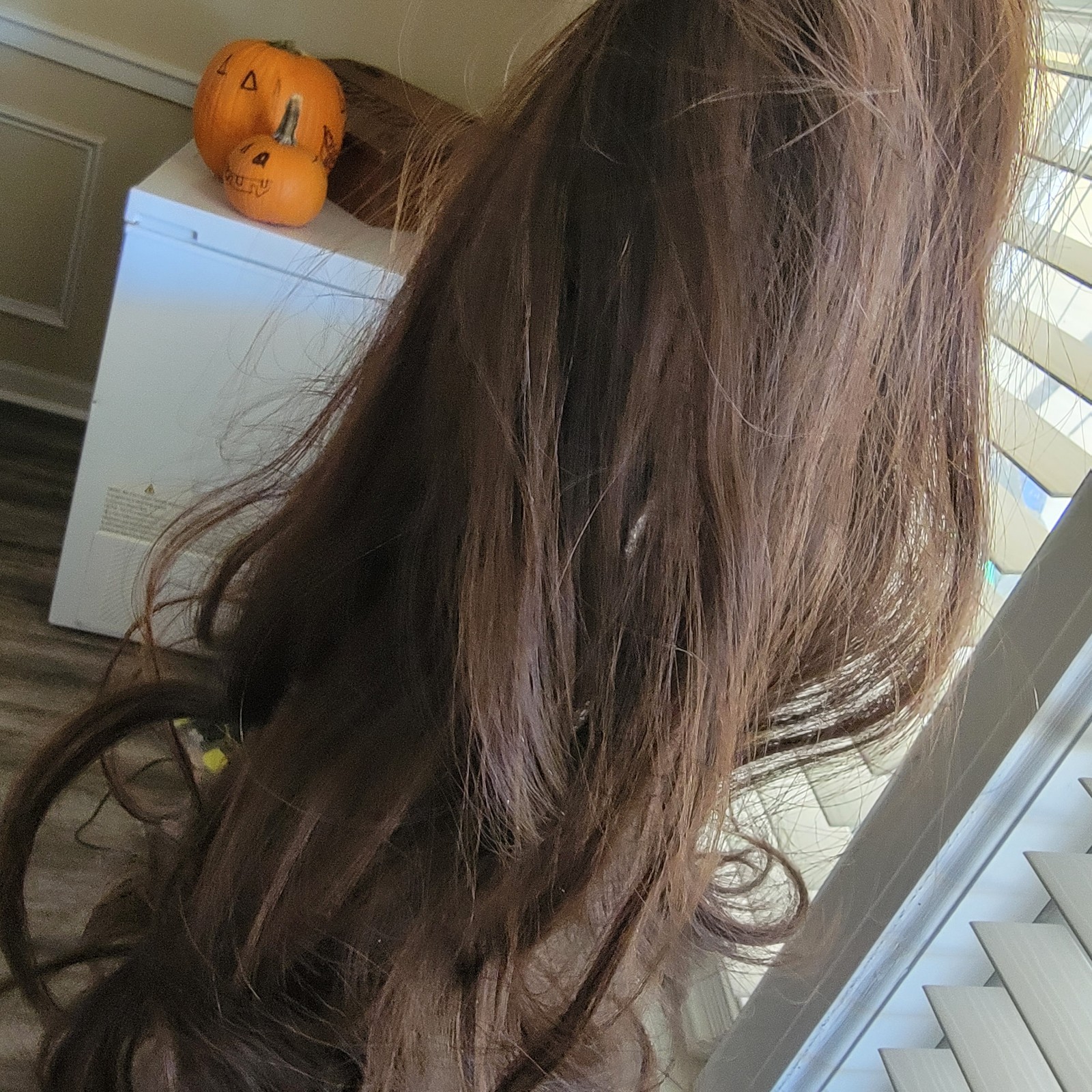 16inch caramel brown Halo.
