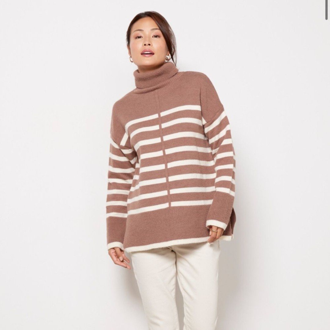 Line And Dot Stripe Turtleneck Pullover NWT