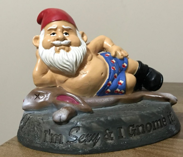 The Sexy and I Gnome It Garden Gnome