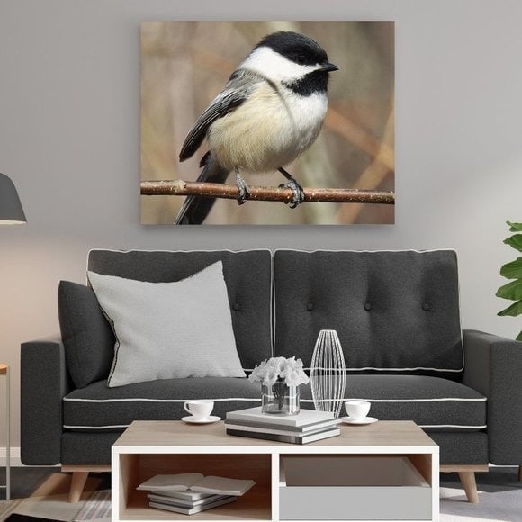 20x30 Black-capped Chickadee Cute Fluffy Bird Oil‎ Painting Poster