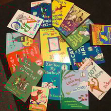 Dr Suess books x 14