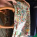 Dooney and Bourke