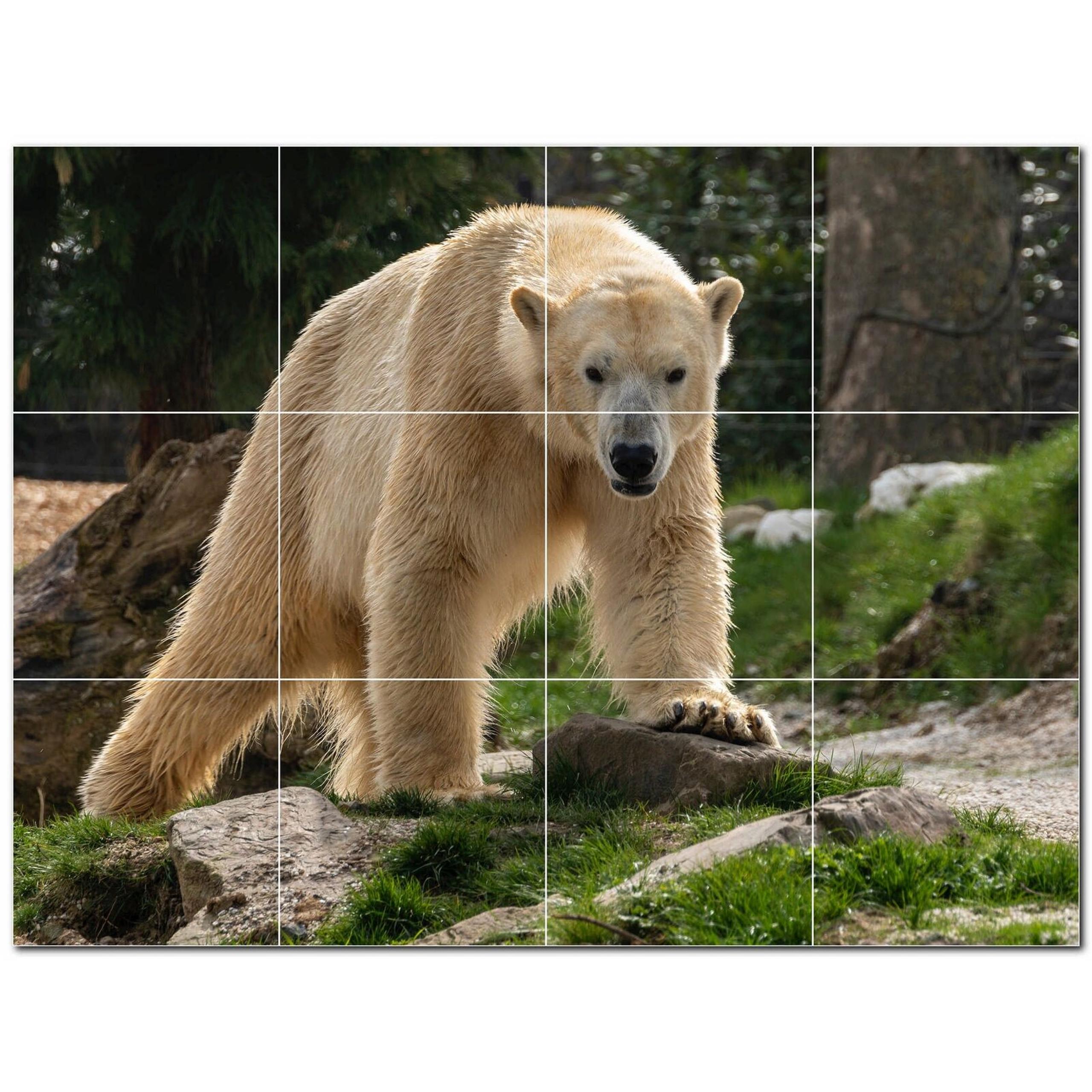 Bear Ceramic Tile Wall Mural PT500128. 48" W x 36" H (12) 12x12 tiles