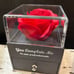 Jewelry Box & Ruby Heart Necklace w/ Encased Preserved Red Rose Gift For Her
