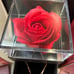 Jewelry Box & Ruby Heart Necklace w/ Encased Preserved Red Rose Gift For Her
