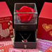 Jewelry Box & Ruby Heart Necklace w/ Encased Preserved Red Rose Gift For Her