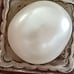 SILPADA STERLING SILVER - LARGE GENUINE PEARL RING- SZ7