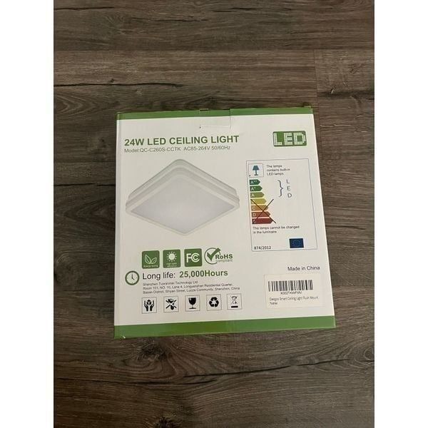 Oeegoo Smart Ceiling Light Flush Mount New