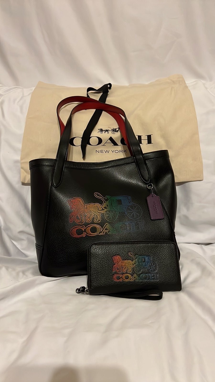 Coach Ombré Rainbow Pride carriage set