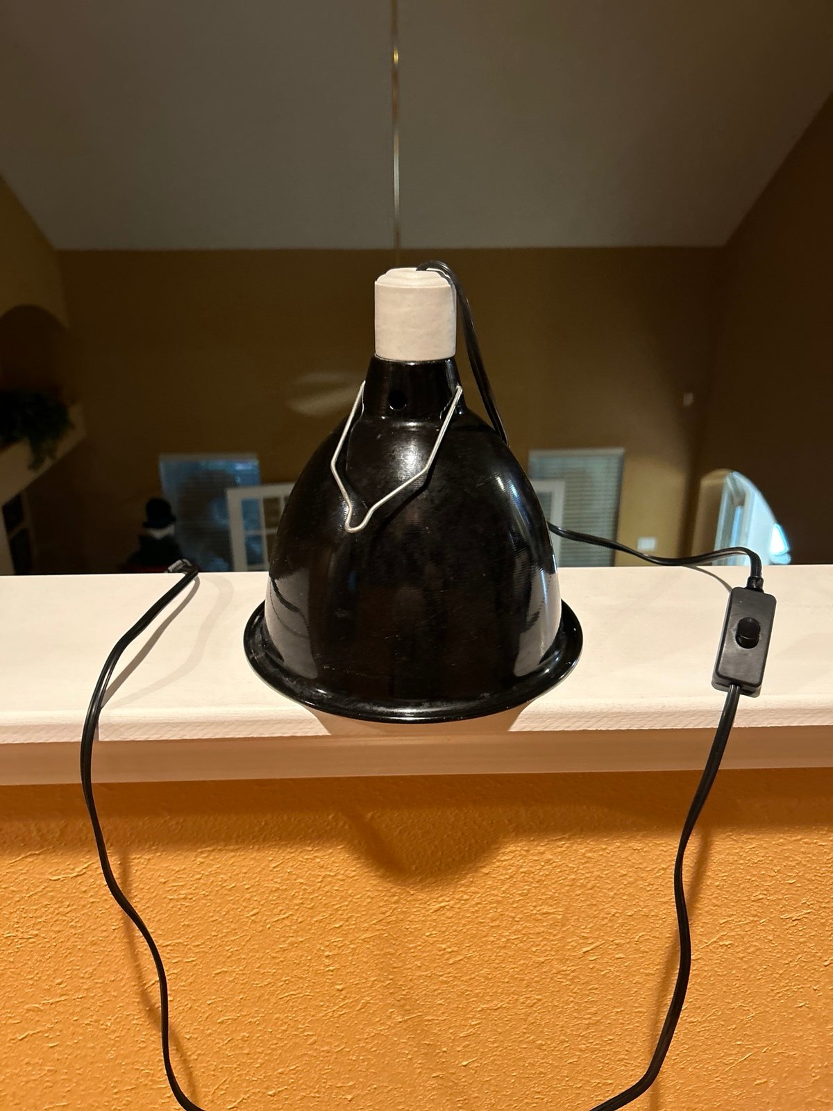 Zoomed reptile lamp