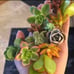 Succulent bundle