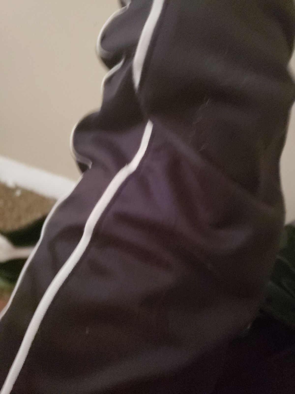 Patagonia Better Sweater Jacket