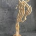 Natural Finger Sponge Home Decor 18 Beach Coastal Art Home Decor w/Wooden base