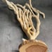 Natural Finger Sponge Home Decor 18 Beach Coastal Art Home Decor w/Wooden base