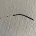 Authentic Burberry Sunglasses New
