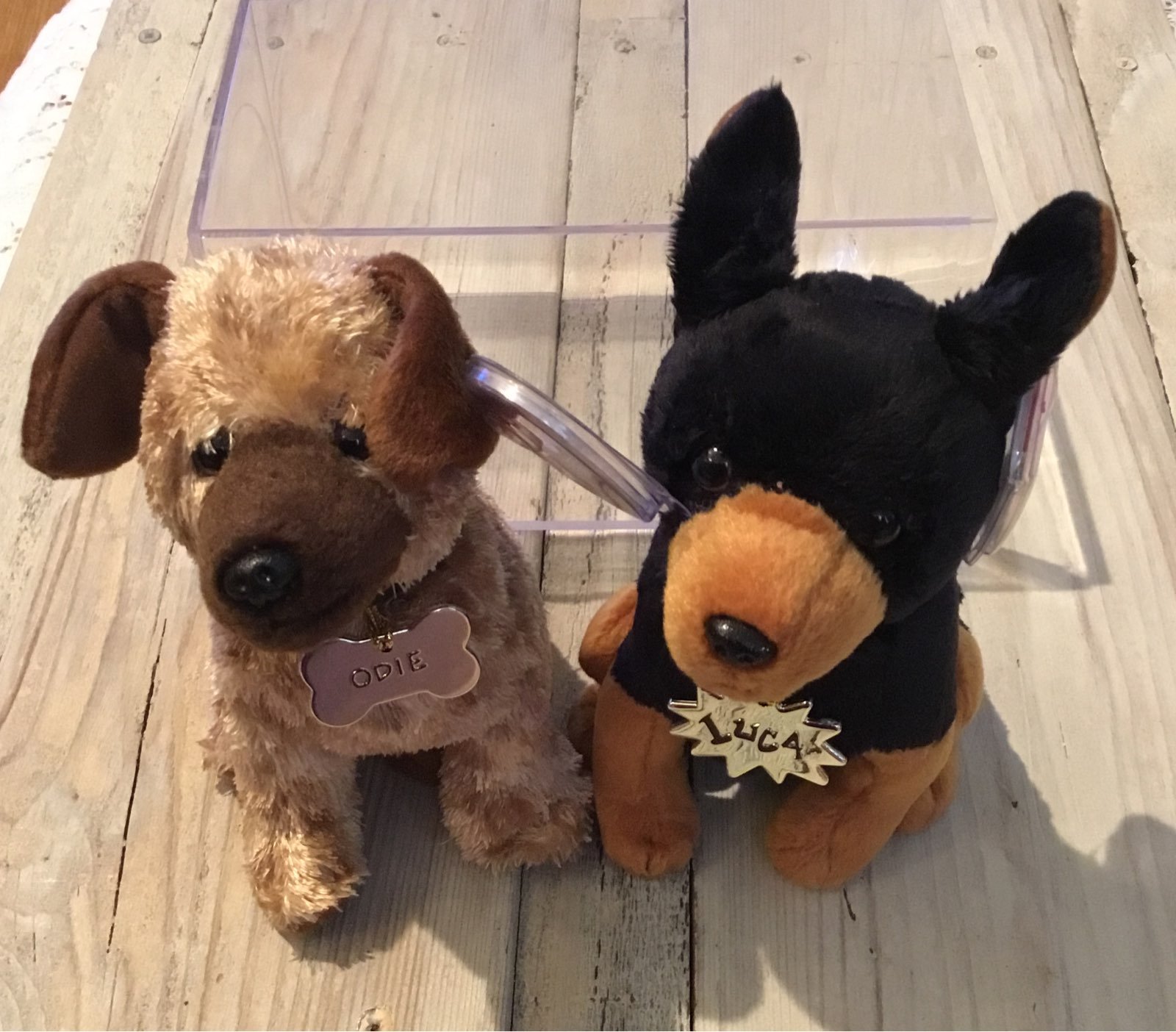 Ty Odie & Luca Beanies