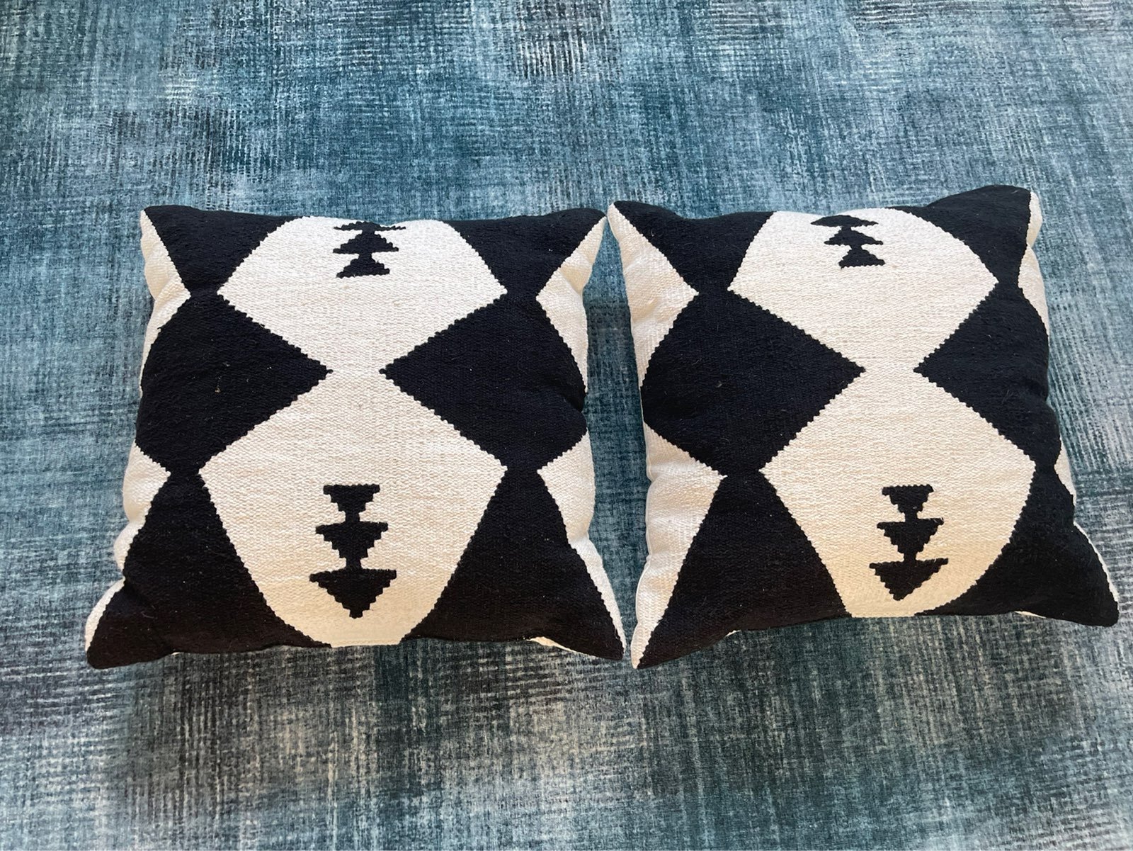 Set of Two 20x20 Pillows