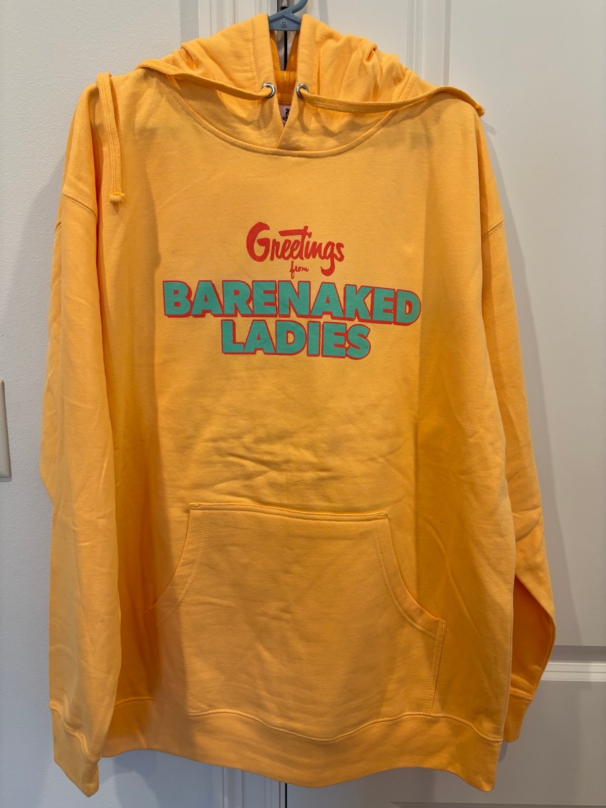 Bare Naked Ladies 2023 Last Summer on Earth Tour Hoodie - Sz: XL