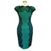 TADASHI SHOJI Green & Black Lace Dress