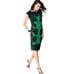TADASHI SHOJI Green & Black Lace Dress