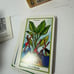 The Herbal Tarot Deck And Booklet