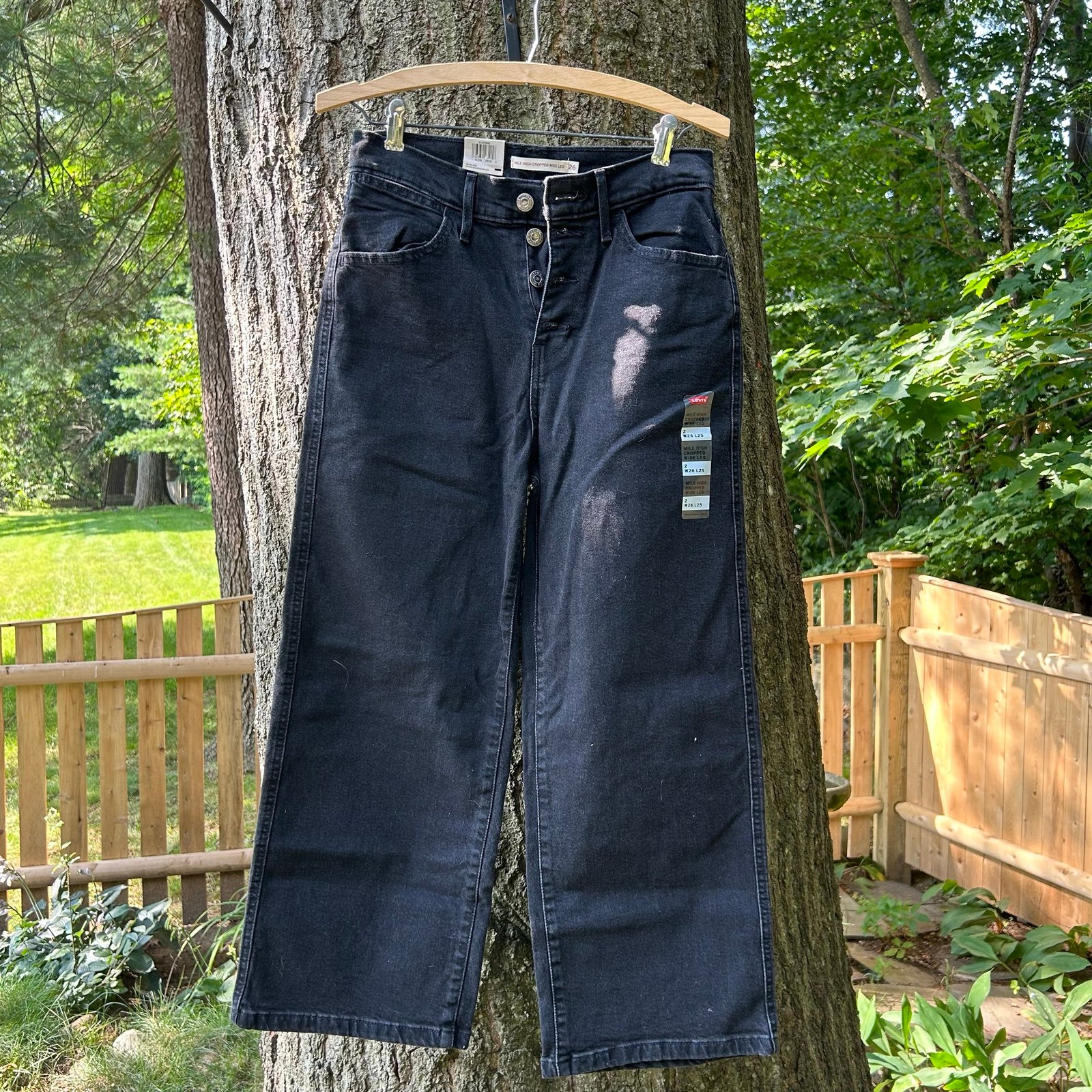 BRAND NEW WT Levi’s Mike High Cropped Wide Leg Jeans