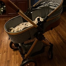 cozy stroller