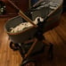 cozy stroller