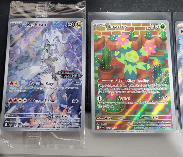 2025 POKEMON JTG EN-JOURNEY TOGETHER