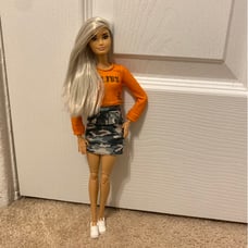 Barbie Fashionistas