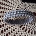 Vintage Rhinestone Necklace Choker Brace