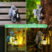 Dragon Tree Hugger Garden Statue with Solar Lantern - 9.3 Inch