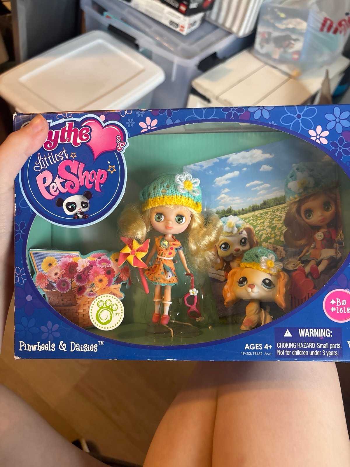 Littlest Pet Shop in box cocker spaniel
