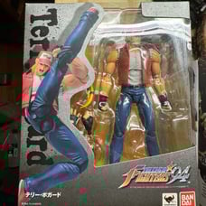 D-Arts(S.H. Figuarts)Terry Bogard Fatal Fury King Of Fighters