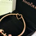 Pandora Rose Gold Heart Closure Bracelet with Charm set