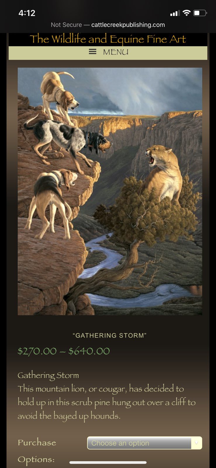 Framed Gathering Storm By Tom Mansanarez