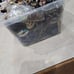 (Sold to shylsntgr) VINTAGE Jewelry Tub 12-LBS GREAT MIx, NECKLACES, RINGS #299A