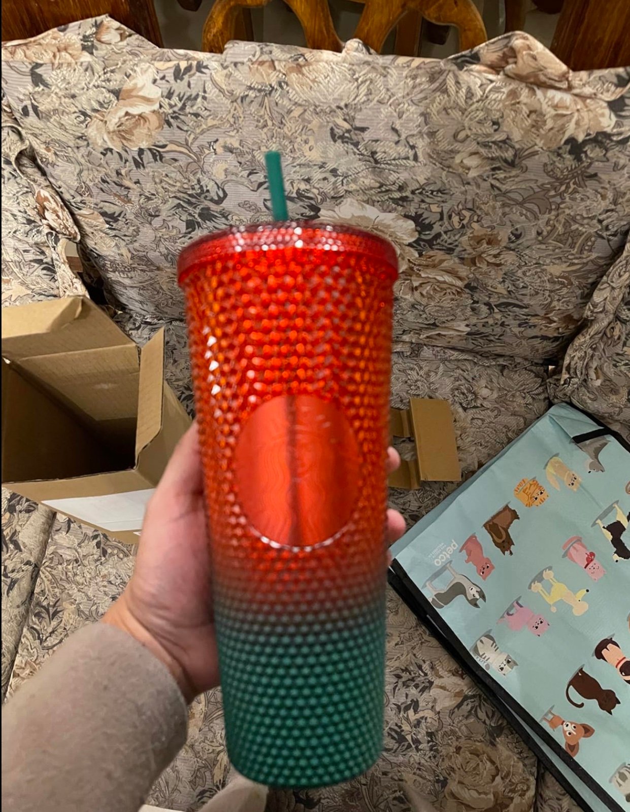 Starbucks Christmas Disney cup
