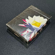 Carpe Noctem Playing Cards / カルペ・ノクテム デック ###  This translates to:  **Carpe Noctem Playing Cards**