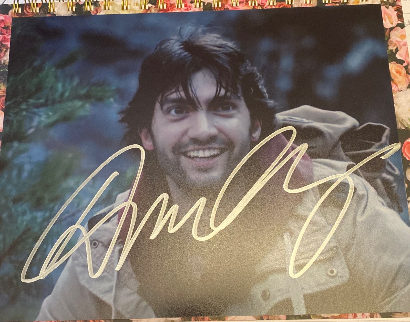 David Alpay Autograph