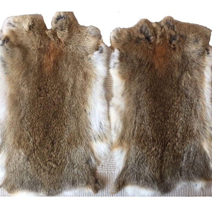 5X Real Rabbit Skin Pelts Natural Animal Fur Hides Soft Tanned Leather Craft DIY