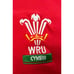 Vintage Wales Rugby Red shirt Cymru Adult Extra Large XXL WRU 2003 World Cup