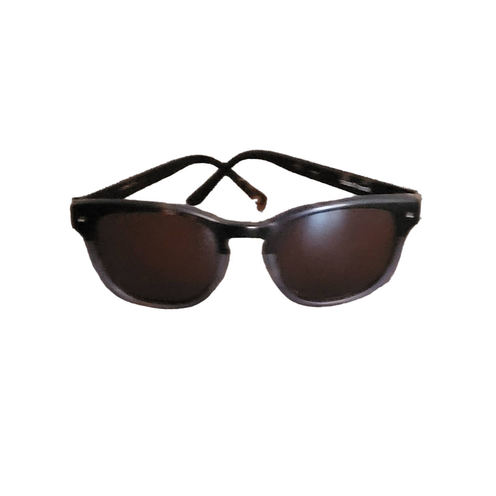 Paul Frank Spector 202 sunglasses unisex brown tortoise sunglasses.