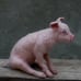 Needle Felted Animal. Felted PIG . Sitting pig sculpture.