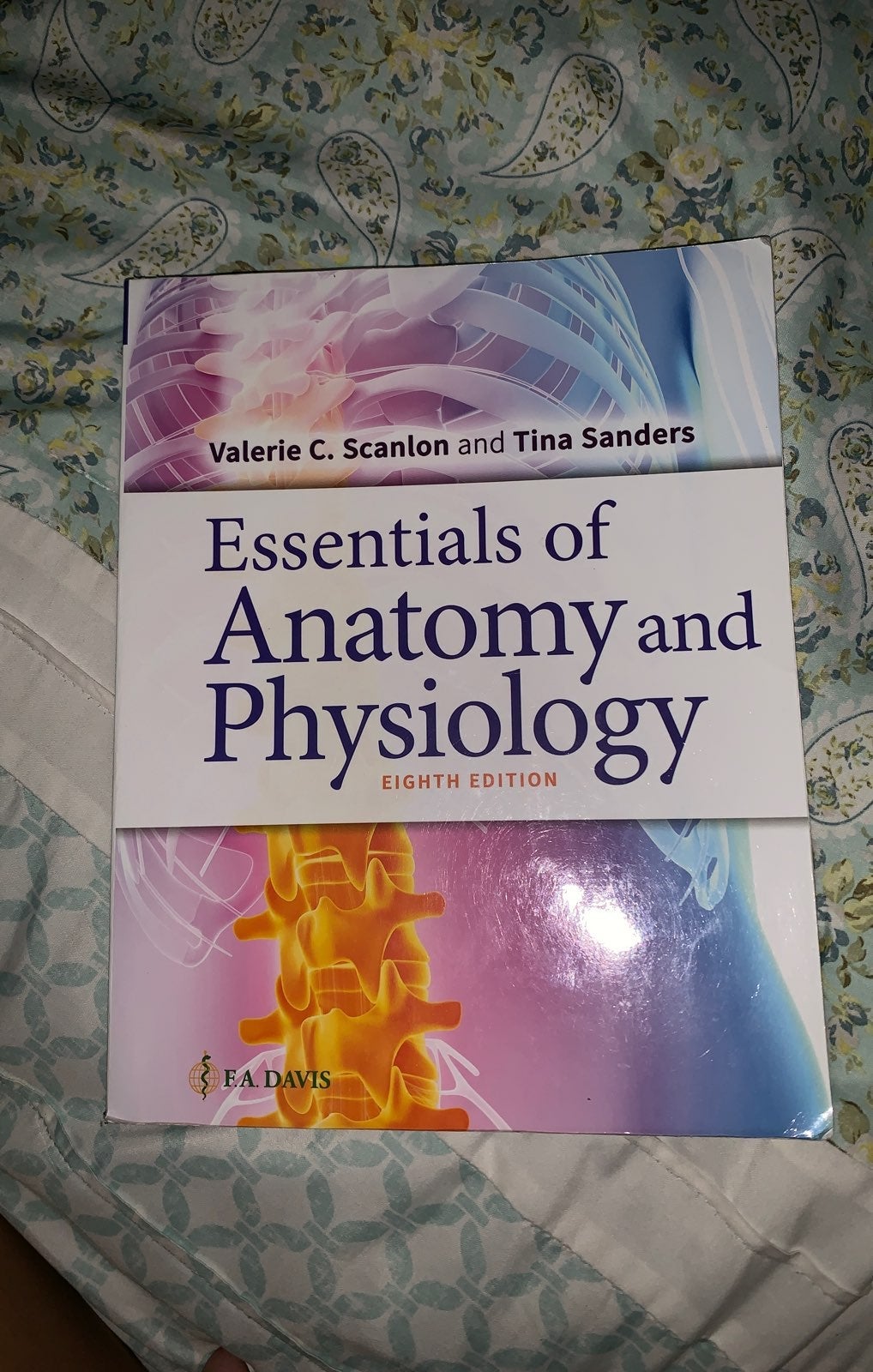 Anatomy & Physiology Textbook